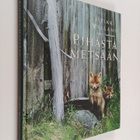 Heikki Willamo : Pihasta metsään - pikkukuva 1