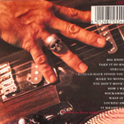 Keith Richards - Talk is Cheap (hienokuntoinen cd-levy) - pikkukuva 3