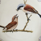 Lintu Seinälautanen "neuntöter" Ø25cm Heinrich Villeroy&Boch - pikkukuva 2