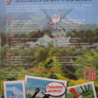 Peukaloisen retket DVD - pikkukuva 3
