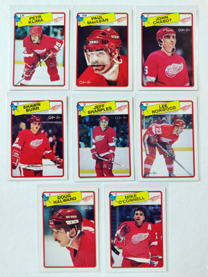 88-89 Opc - Detroit Red Wings 8kpl