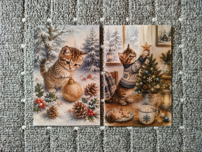 ~Kissa kortti~ 2kpl
