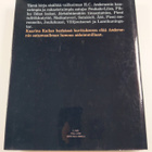 H. C Andersen : Pieni merenneito ja muita Andersenin satuja - pikkukuva 2