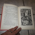 tove jansson - Mumintrollet på kometjakt ; PAINOS 1 v 1956 - pikkukuva 5