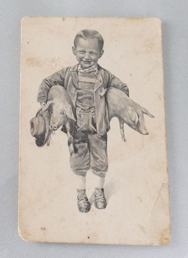 Poika kantaa kahta sikaa - Boy carries two pigs