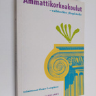 Ammattikorkeakoulut : vaihtoehto yliopistolle - pikkukuva 1