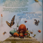 RUOHONJUURITASOLLA 1 & 5/2   DVD - pikkukuva 2