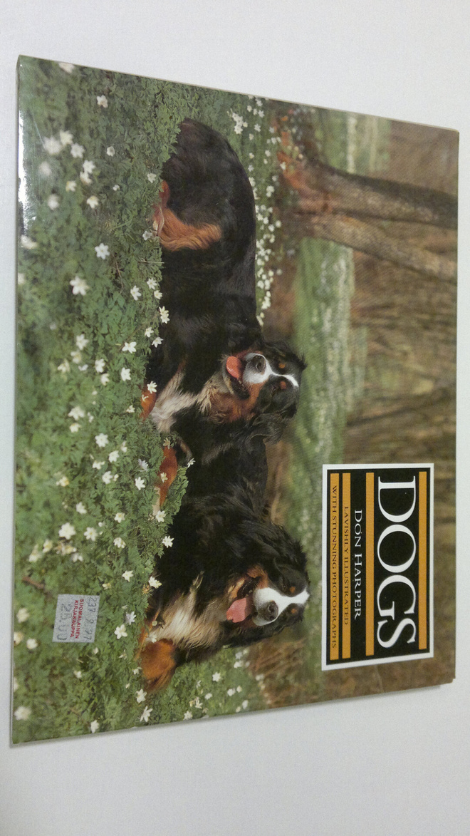 Don Harper : Dogs
