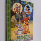 Tarinoita metsäpoluilta - pikkukuva 1