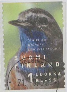 1999 sinirinta loisto