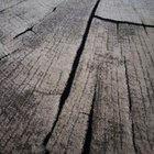 Jättikokoinen matto kuin puunrunko 200 x 290 cm - pikkukuva 4