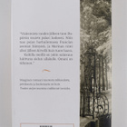 Carlos Ruiz Zafon : Marina - pikkukuva 2