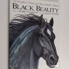 Black Beauty - pikkukuva 1
