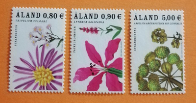 ÅLAND 2007 Rantakukkia