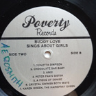 2 LP-LEVYÄ: BUDDY LOVE : SINGS ABOUT GIRLS - pikkukuva 4