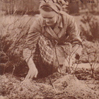 Maatalous - Nainen, 3 x 1955. - pikkukuva 3