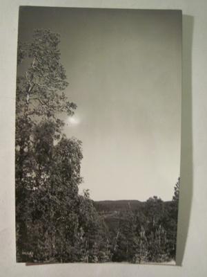 VANHA Postikortti Inari Lappi 1950-l Alkup.Mallikappale