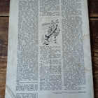 Kuvalehden Kertomisto 1925 No 4 - pikkukuva 2