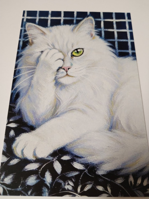 Kissa kortti, kulkematon.