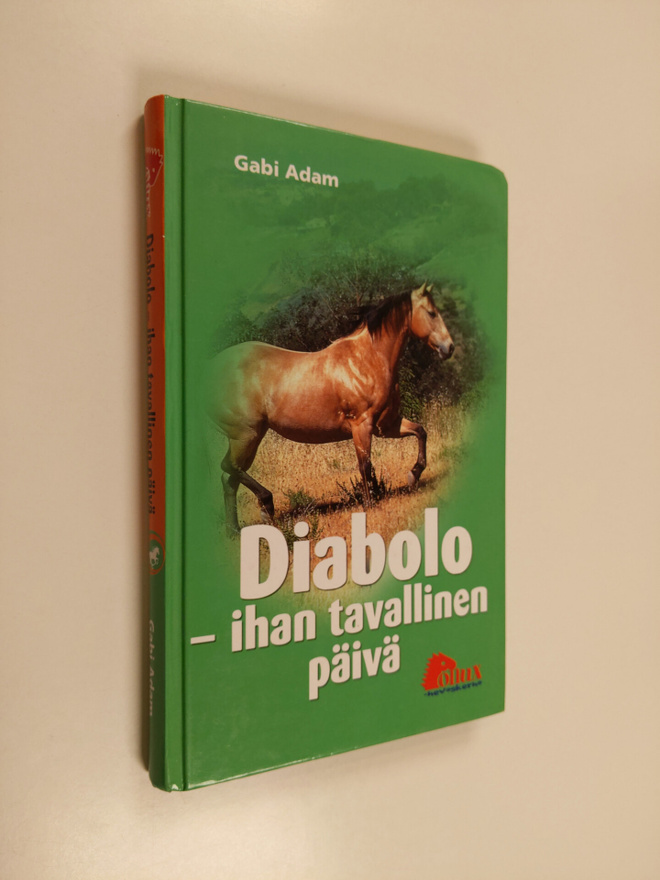 Gabi Adam : Diabolo : ihan tavallinen päivä