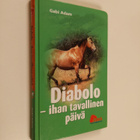 Gabi Adam : Diabolo : ihan tavallinen päivä - pikkukuva 1