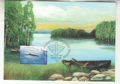 Maksimikortti Muikku
