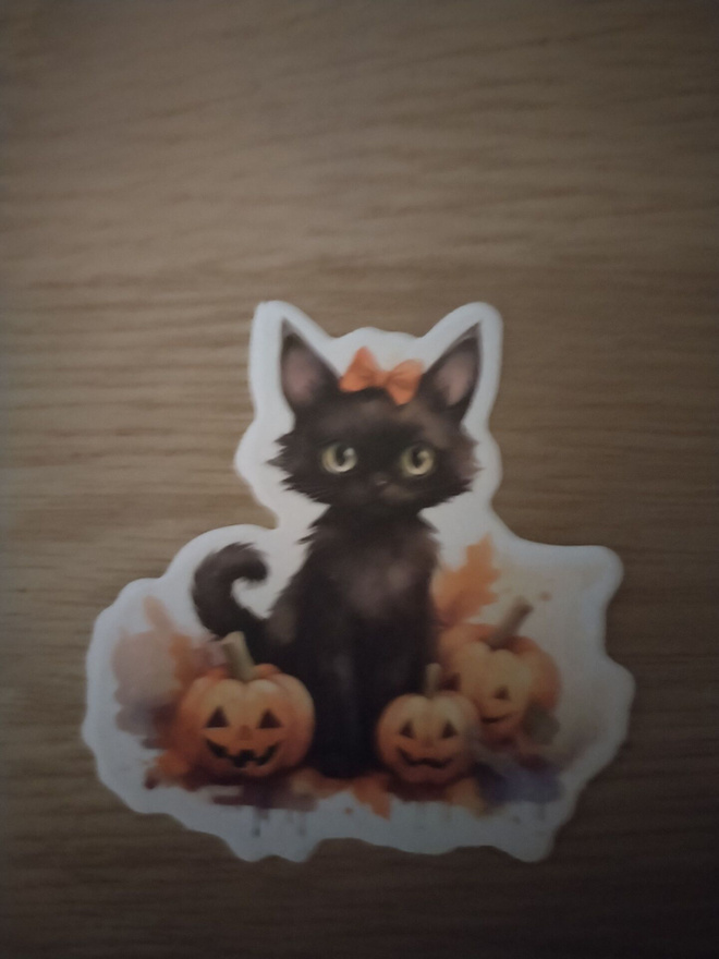 Kissa tarra.