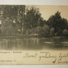 Helsinki, Kaisaniemi, Joutsenlampi, puistoa, p. 1904 - pikkukuva 1