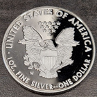 1 oz 999 Hopea raha American Silver Eagle 2013 W one dollar - pikkukuva 2