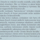 Christer Boucht: Lähdin Etelämantereelle - pikkukuva 3