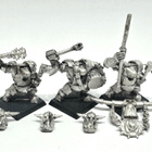 WHFB - Black Orc Command Group [B6] - pikkukuva 1