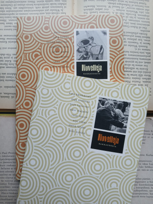 Novelleja rakkaudesta (nid.)