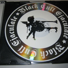 Profanatica - Sickened By Holy Host / The Grand Masters (CD) - pikkukuva 3
