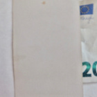 VANHA CDV Valokuva Kirjailija Fredrika Bremer 1860-l - pikkukuva 2