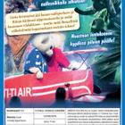 Ti-Ti Nalle: Hei Nallet, lennetään! dvd - pikkukuva 2