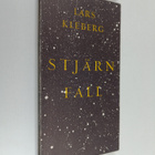 Lars Kleberg : Stjärnfall : en triptyk - pikkukuva 1