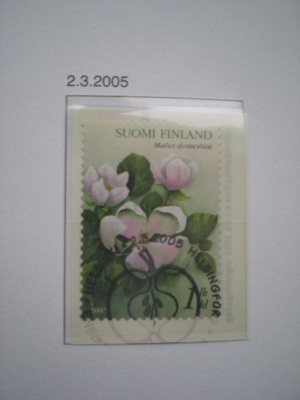 EP-leimattu merkki 1. lk Omenakukka 2005 - LaPe 1736