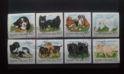 Koiranpentuja 1998 8 kpl sarja o LaPe 1432-1439