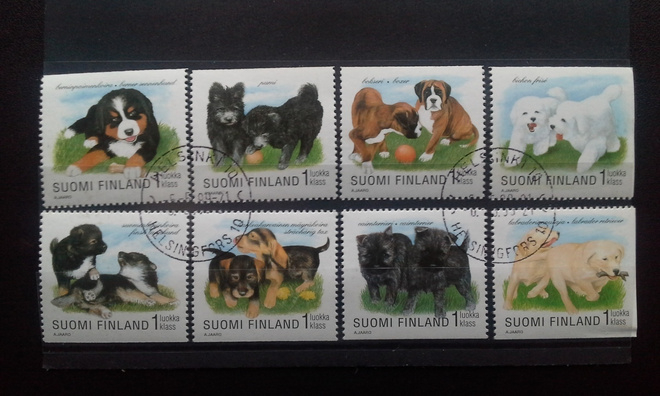 Koiranpentuja 1998 8 kpl sarja o LaPe 1432-1439