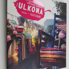 29 hieman villimpää paikkaa : Kotona ulkona - pikkukuva 1