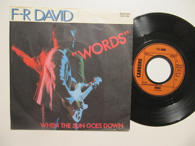 F-R David Words 7" sinkku