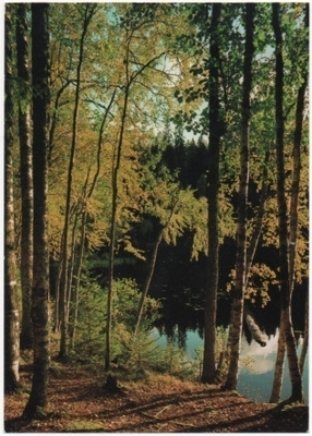 Ruovesi Helvetinjärvi 70-luku