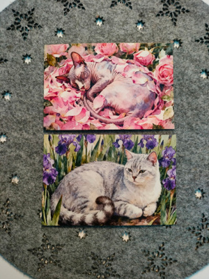 ~Kissa kortti~ 2kpl