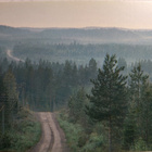 kortti °/** Kuhmo tai Suomussalmi - erilaisia Kainuusta - pikkukuva 5