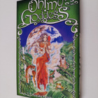 Kosuke Fujishima : Oh! My Goddess 9 - pikkukuva 1