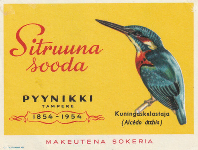 PYYNIKIN SITRUUNASOODA (K11-S1)