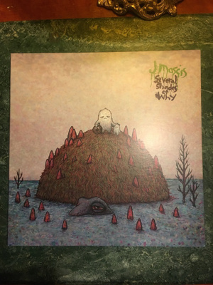 (LP) J Mascis – Several Shades Of Why