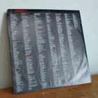 Afrika Bambaataa And Family – The Light LP - pikkukuva 3