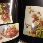 Donatella Viggiani :  The Klein designs -  FRUITS ( SIS POST - pikkukuva 4