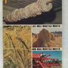 Pellervo No 13 syyskuu 1970 - pikkukuva 1